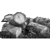 b�che