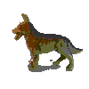 chien