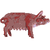 cochon