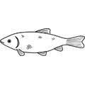 poisson