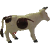 vache