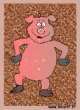 cochon