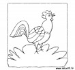 coq nb