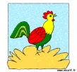 coq
