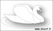 cygne nb
