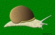 escargot