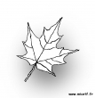 feuille nb