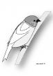 moineau nb