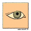 oeil