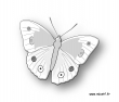 papillon nb