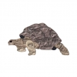 tortue- 1