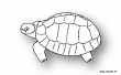 tortue nb